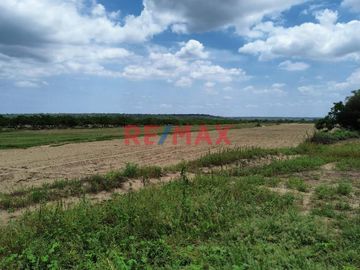 🚜 ¡Oportunidad Única para Inversionistas y Agricultores! 🌾

Descubra el potencial de este extenso terreno agrícola de 109.50 hectáreas situado en el