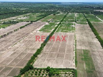 🚜 ¡Oportunidad Única para Inversionistas y Agricultores! 🌾

Descubra el potencial de este extenso terreno agrícola de 109.50 hectáreas situado en el
