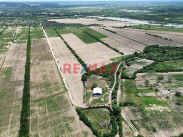 🚜 ¡Oportunidad Única para Inversionistas y Agricultores! 🌾

Descubra el potencial de este extenso terreno agrícola de 109.50 hectáreas situado en el