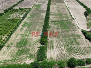 🚜 ¡Oportunidad Única para Inversionistas y Agricultores! 🌾

Descubra el potencial de este extenso terreno agrícola de 109.50 hectáreas situado en el