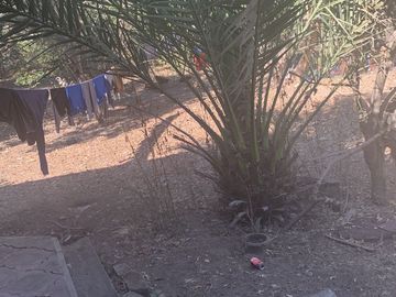 Venta de Excelente terreno desviación Ameca 3 hectareas