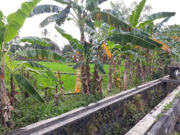 Luas 1.460 m2, Tanah Dijual di Pusat Kota Jogja