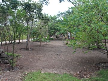 Dos Mangas 2600 M2: Se Vende Casa en Zona Rural, en la Montaña y Cerca del Mar en Dos Mangas