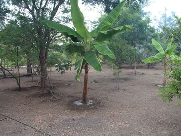 Dos Mangas 2600 M2: Se Vende Casa en Zona Rural, en la Montaña y Cerca del Mar en Dos Mangas