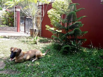 FOR SALE RUMAH HARVEST CITY RESIDENCE CILEUNGSI BOGOR
