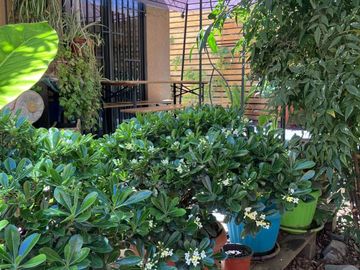 DECÍDETE HOY, INCREÍBLE CASA, MAIPÚ, $ 160 MILLONES