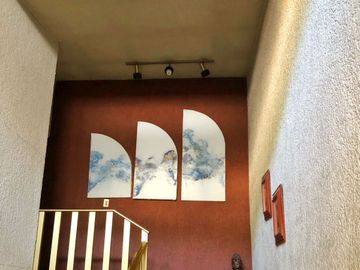 Casa en renta , Sobre Ave. col Obispado