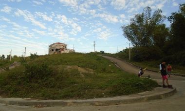 Corner Lot 218 Sqm for Sale in Greenwoods Subdivision near Talamban Cebu City with View