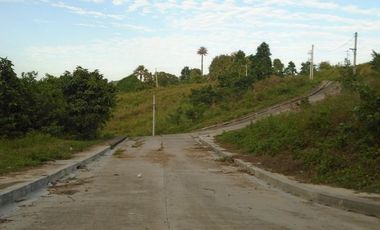 Corner Lot 218 Sqm for Sale in Greenwoods Subdivision near Talamban Cebu City with View