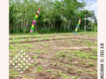 Tanah kavling surya regency 2021