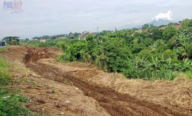 Preselling Prime Commercial Lots for Sale in Silang