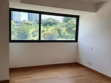 Vista Hermosa Maranta