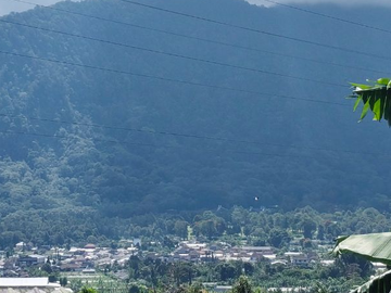 TANAH VIEW DANAU BUYAN DI BEDUGUL