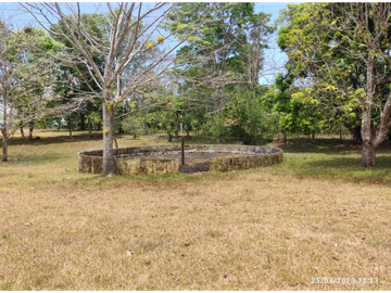 Se Vende Finca de 18 Hectáreas Cerro Cama