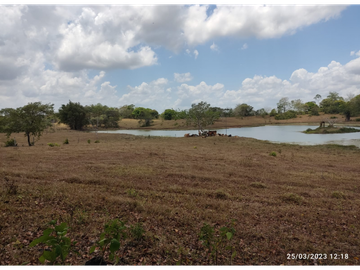 Se Vende Finca de 18 Hectáreas Cerro Cama