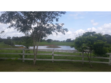 Se Vende Finca de 18 Hectáreas Cerro Cama