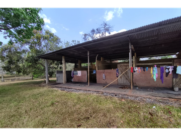 Se Vende Finca de 18 Hectáreas Cerro Cama
