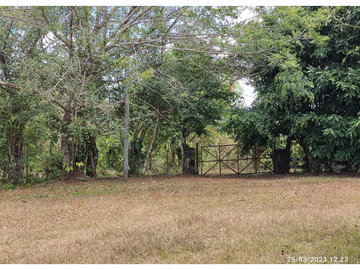 Se Vende Finca de 18 Hectáreas Cerro Cama