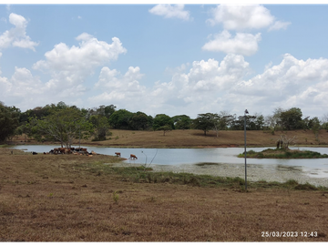 Se Vende Finca de 18 Hectáreas Cerro Cama