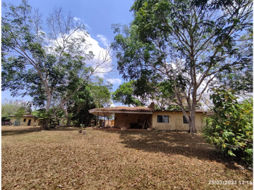 Se Vende Finca de 18 Hectáreas Cerro Cama