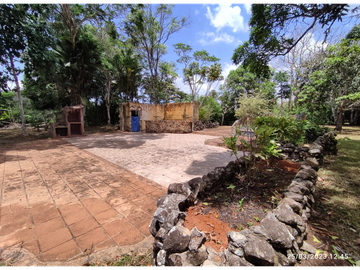 Se Vende Finca de 18 Hectáreas Cerro Cama