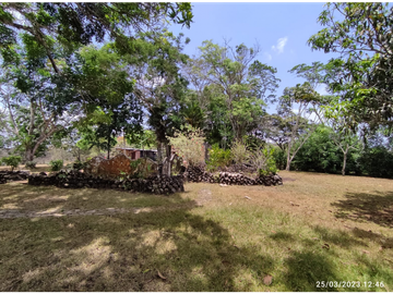 Se Vende Finca de 18 Hectáreas Cerro Cama