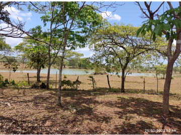 Se Vende Finca de 18 Hectáreas Cerro Cama