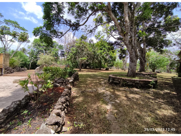 Se Vende Finca de 18 Hectáreas Cerro Cama