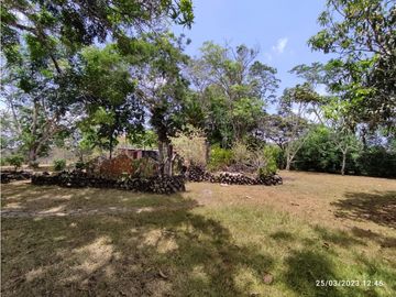 Se Vende Finca de 18 Hectáreas Cerro Cama