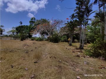 Se Vende Finca de 18 Hectáreas Cerro Cama
