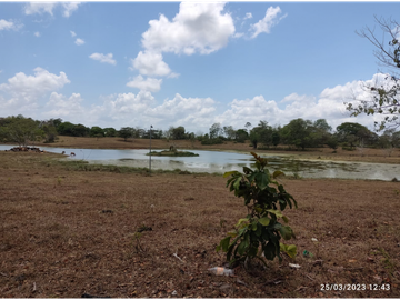Se Vende Finca de 18 Hectáreas Cerro Cama