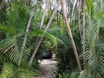 Casa en venta en Tezoyuca Morelos