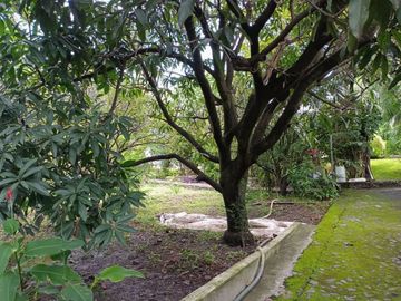 Casa en venta en Tezoyuca Morelos