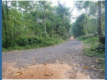 Kavling Dekat Merapi Golf, Cocok Bangun VIlla; Hanya 900rb/m