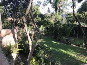 Palermo, LOMAS HIPÓDROMO