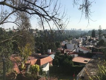 Palermo, LOMAS HIPÓDROMO