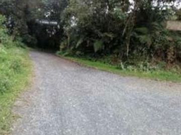 finca en venta en villa ofelia. Cod V11249