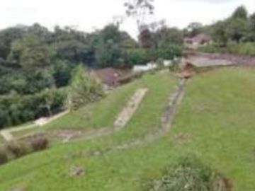 finca en venta en villa ofelia. Cod V11249