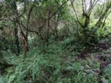 finca en venta en villa ofelia. Cod V11249