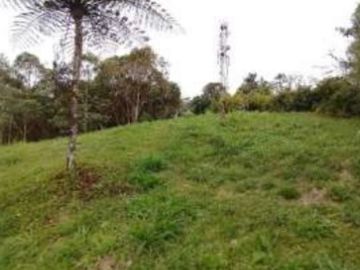 finca en venta en villa ofelia. Cod V11249