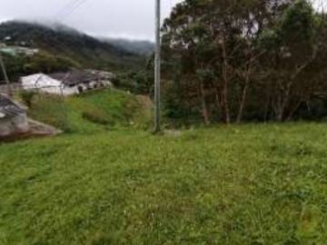 finca en venta en villa ofelia. Cod V11249