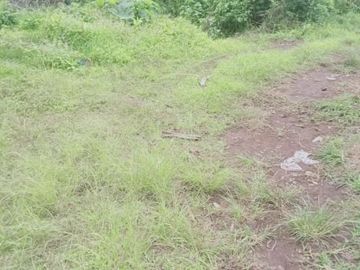 Lahan Pertanian Di Kota Batu