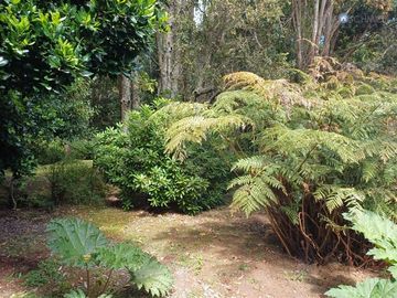 Casa en venta de 4 dorm. en Frutillar