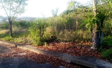 147 SQM Residential Lot for Sale in Lamac, Consolacion Cebu