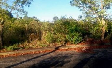 147 SQM Residential Lot for Sale in Lamac, Consolacion Cebu