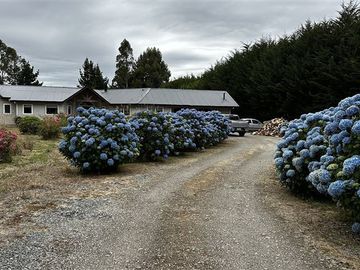 Casa en venta de 5 dorm. en Puerto Varas