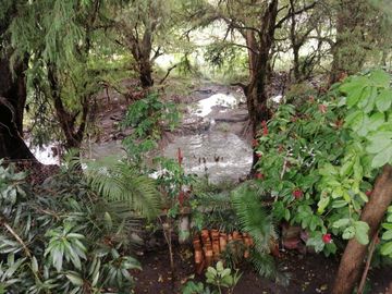 ¡ VENTA DE INCREIBLE PROPIEDAD EN CONTACTO CON LA NATURALEZA !
