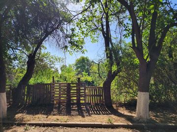 SAN JOAQUIN / LOTEO LAS PERDICES /  LA FLORDA