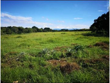 SE VENDE TERRENO DE PLAYA EN RIO HATO 4.2 Has