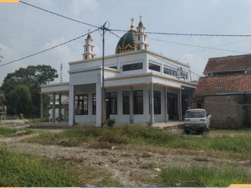 RUMAH DENGAN GAYA SKANDINAVIAN FASADE TERAKOTA HARGA SPESIAL